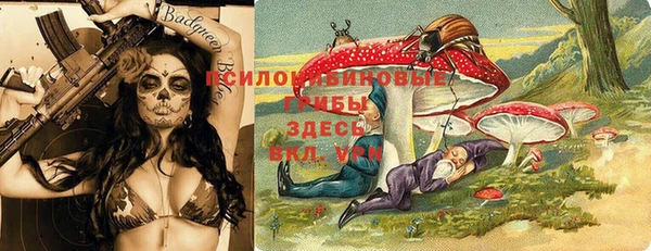 спайс Алексин