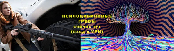 спайс Алексин