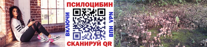 Галлюциногенные грибы GOLDEN TEACHER  Черноголовка 
